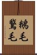 鵝毛 Scroll