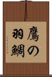 鷹の羽鯛 Scroll