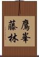 鷹峯藤林 Scroll