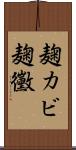 麹カビ Scroll
