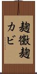 麹黴 Scroll