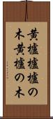 黄櫨 Scroll