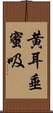 黄耳垂蜜吸 Scroll