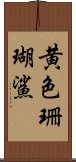 黄色珊瑚鯊 Scroll