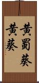 黄蜀葵 Scroll
