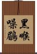 黑喉噪鶥 Scroll