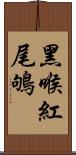 黑喉紅尾鴝 Scroll