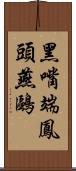 黑嘴端鳳頭燕鷗 Scroll