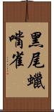 黑尾蠟嘴雀 Scroll