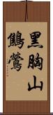 黑胸山鷦鶯 Scroll