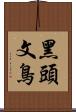 黑頭文鳥 Scroll