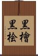黒檜 Scroll