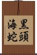黒頭海蛇 Scroll