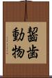 齧歯動物 Scroll