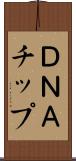 ＤＮＡチップ Scroll