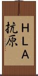 ＨＬＡ抗原 Scroll