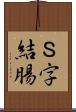 Ｓ字結腸 Scroll