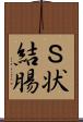 Ｓ状結腸 Scroll