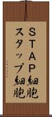 ＳＴＡＰ細胞 Scroll