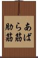 あばら筋 Scroll