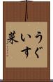 うぐいす菜 Scroll