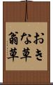 おきな草 Scroll