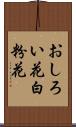 おしろい花 Scroll