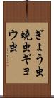 ぎょう虫 Scroll