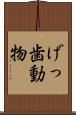げっ歯動物 Scroll