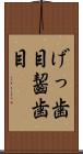 げっ歯目 Scroll