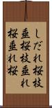 しだれ桜 Scroll