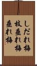 しだれ梅 Scroll