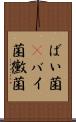 ばい菌(P) Scroll