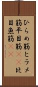 ひらめ筋 Scroll