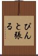 ぴんと張る Scroll