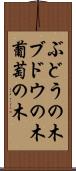 ぶどうの木 Scroll