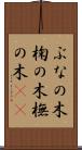 ぶなの木 Scroll
