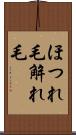 ほつれ毛 Scroll