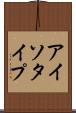 アイソタイプ Scroll