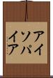 アイソパイア Scroll