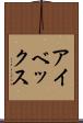アイベックス Scroll