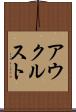 アウクルスト Scroll