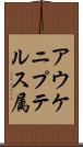 アウケニプテルス属 Scroll