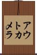 アウトカメラ Scroll