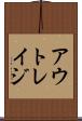 アウトレイジ Scroll