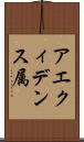 アエクィデンス属 Scroll