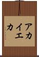 アカイエカ Scroll
