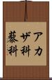 アカザ科 Scroll