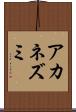 アカネズミ Scroll