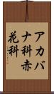 アカバナ科 Scroll